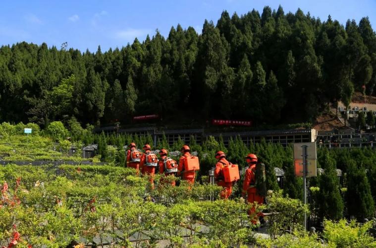清明防火不放松四川森林消防携装备加强巡护